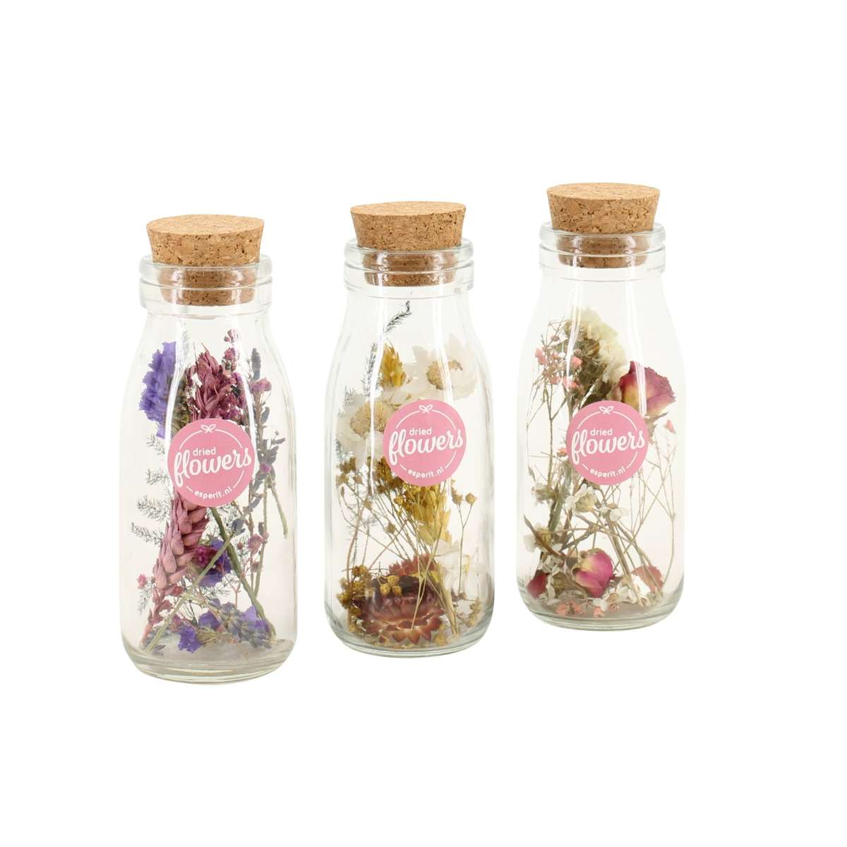 Florastore Torra Blommor Små - Blandning Av 3 - Torkade Blommor - ⌀5Cm - Höjd 10 Cm