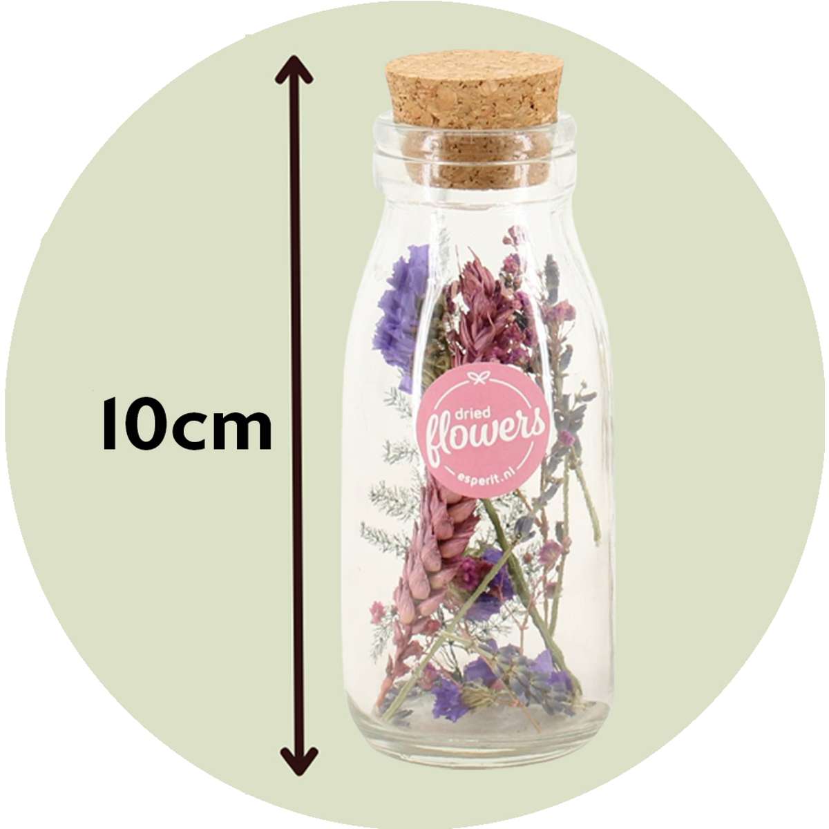 Dried Flowers Torra Blommor Små - Blandning Av 3 - Torkade Blommor - ⌀5Cm - Höjd 10 Cm