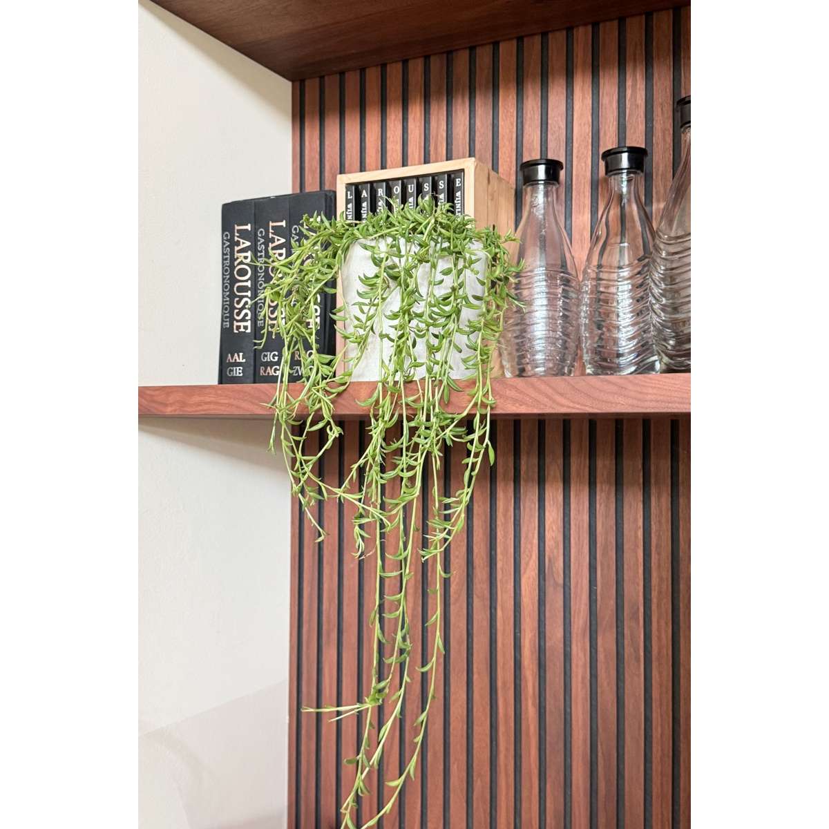 Hanging Plants Banansnöre - Senecio Radicans - Höjd 10-20Cm - ⌀12Cm