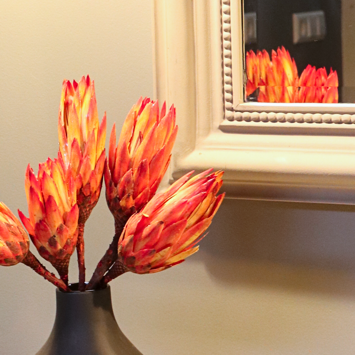 Dried Flowers Torkade Blommor - Sæt Om 5 - Bukett 'Protea Pendula Red' - Torrblommor