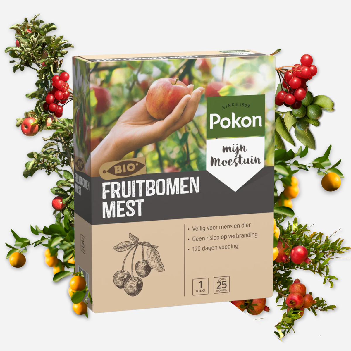 Plant Food Pokon Bio Fruktträdgödsel - 1 Kg