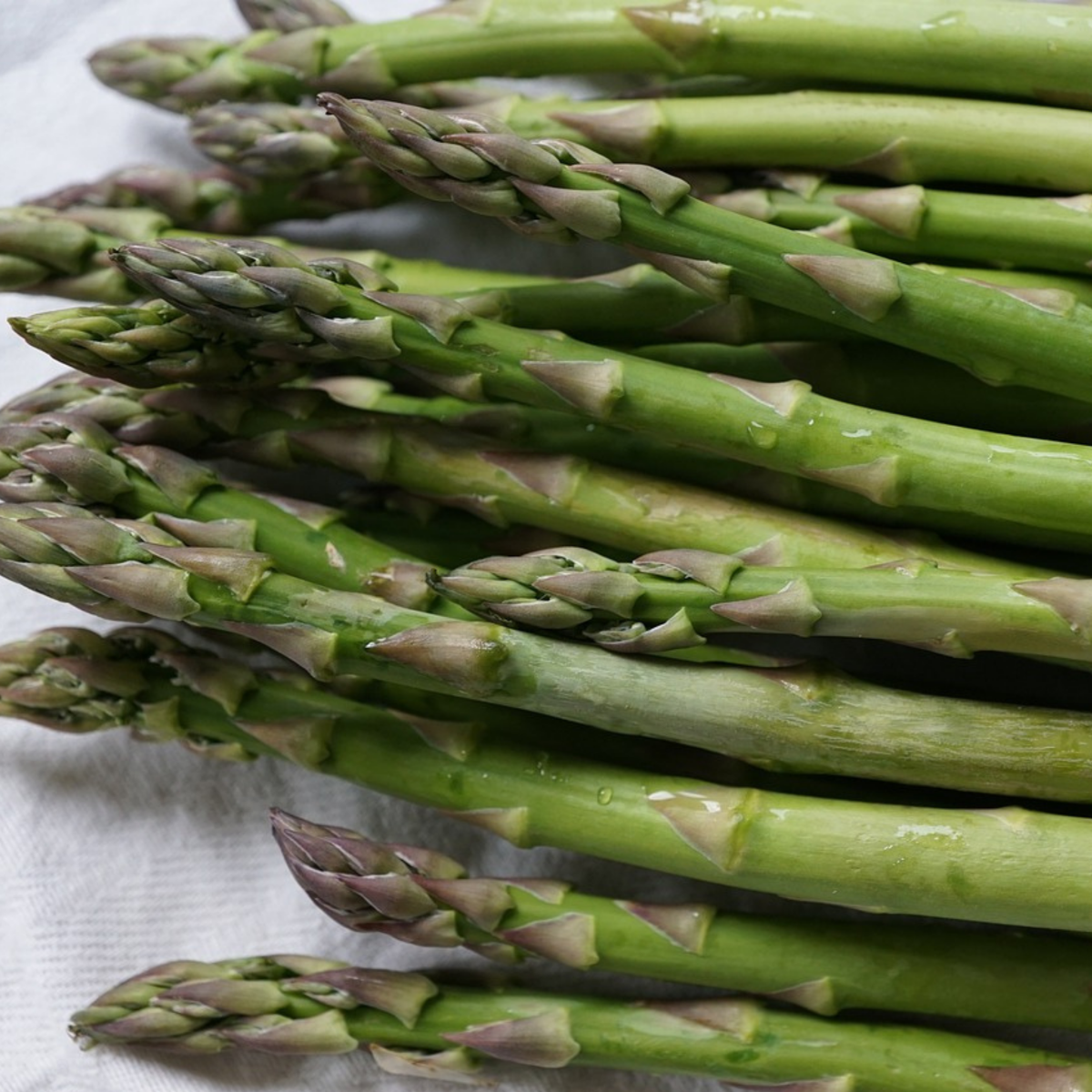 Florastore Grön Sparris - Set Om 4 - Asparagus 'Gijnlim' - Rhizomer - Grön