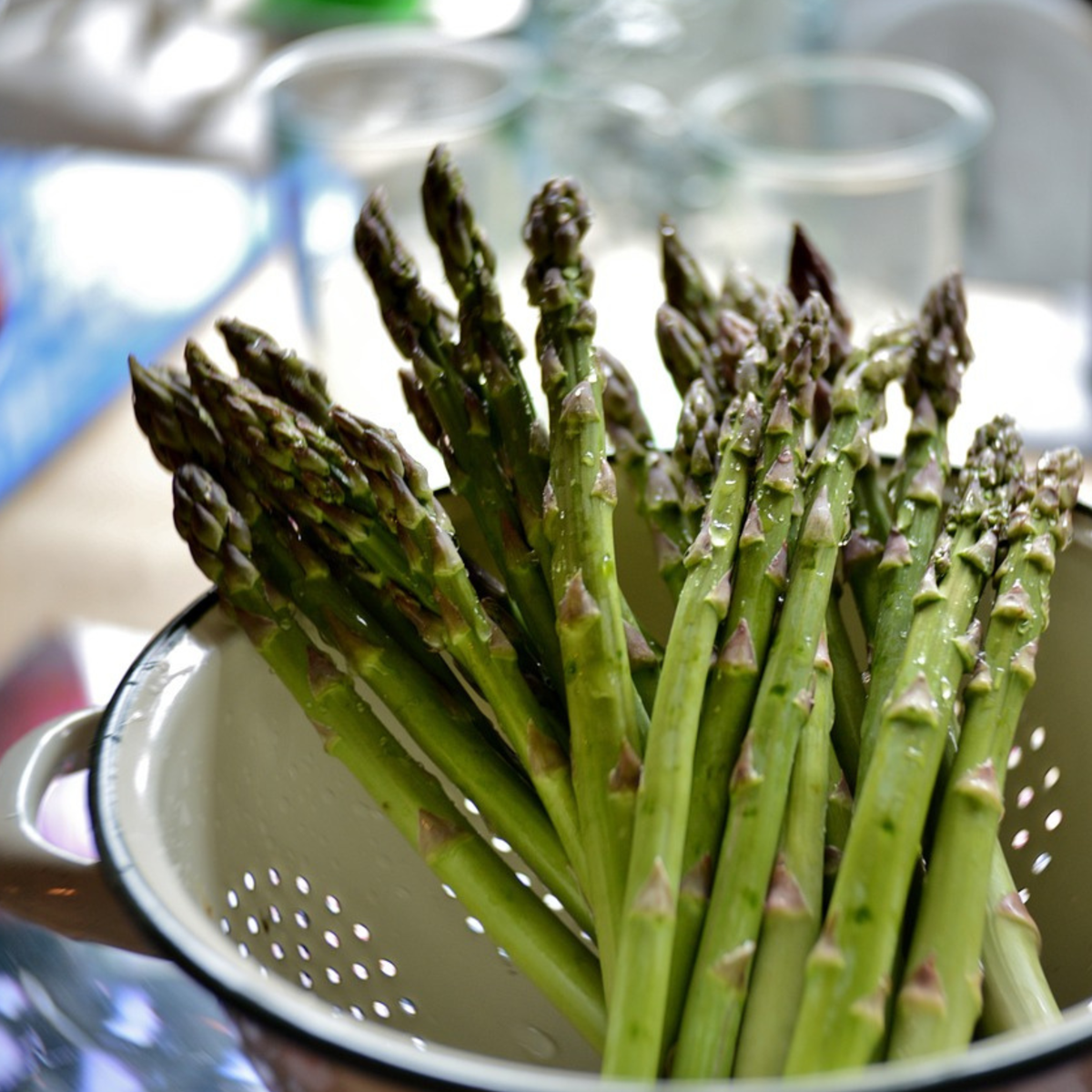Florastore Grön Sparris - Set Om 4 - Asparagus 'Gijnlim' - Rhizomer - Grön