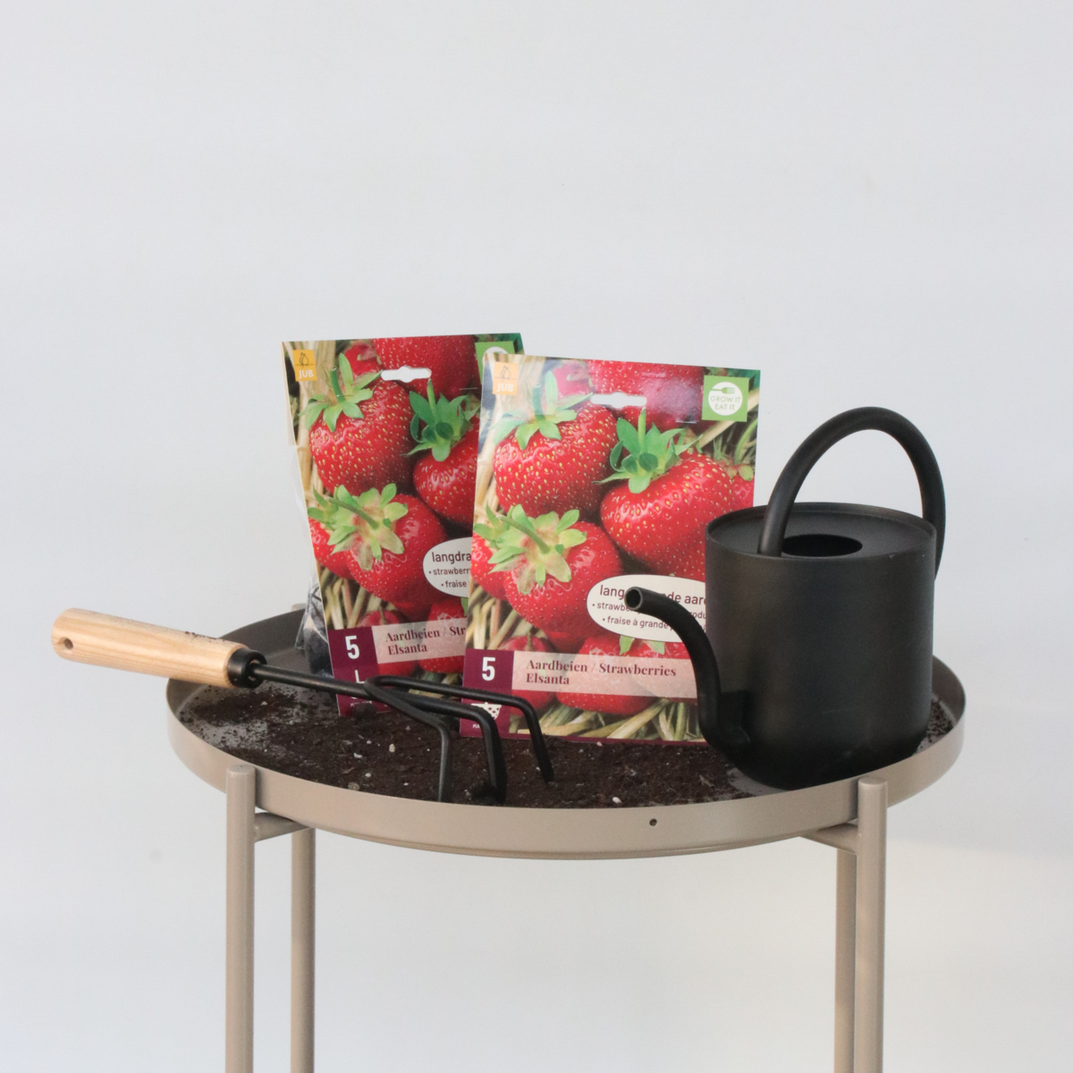 Other Types Of Flower Bulbs Jordgubbsplanta - Set Om 10 - Fragaria Elsanta - Rhizomer - Röd