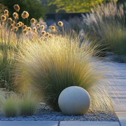 Ornamental Grasses Fjädergräs - Set Om 6 - Stipa, Festuca, Carex - Höjd 15-25Cm - ⌀10,5Cm