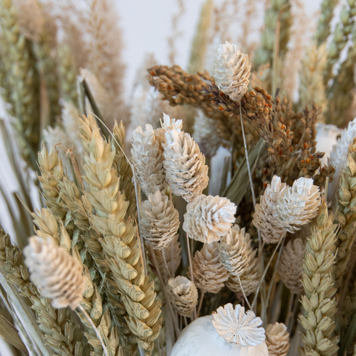 Dried Flowers Bukett 'Stor Bodhi' - Torr Blombukett - Höjd 55 Cm