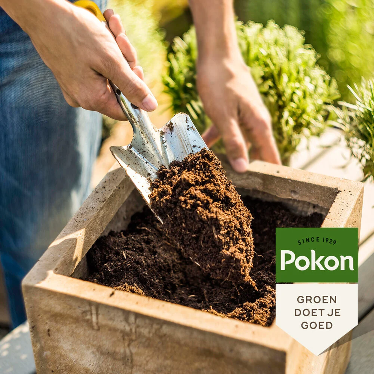 Potting Soil Pokon Krukjord Kompakt - Kokosjord - Inomhus Och Utomhus - 10 Liter