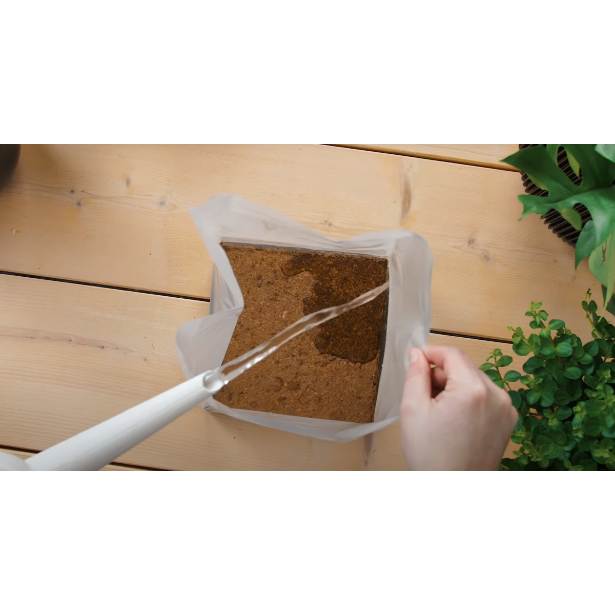 Potting Soil Pokon Krukjord Kompakt - Kokosjord - Inomhus Och Utomhus - 10 Liter