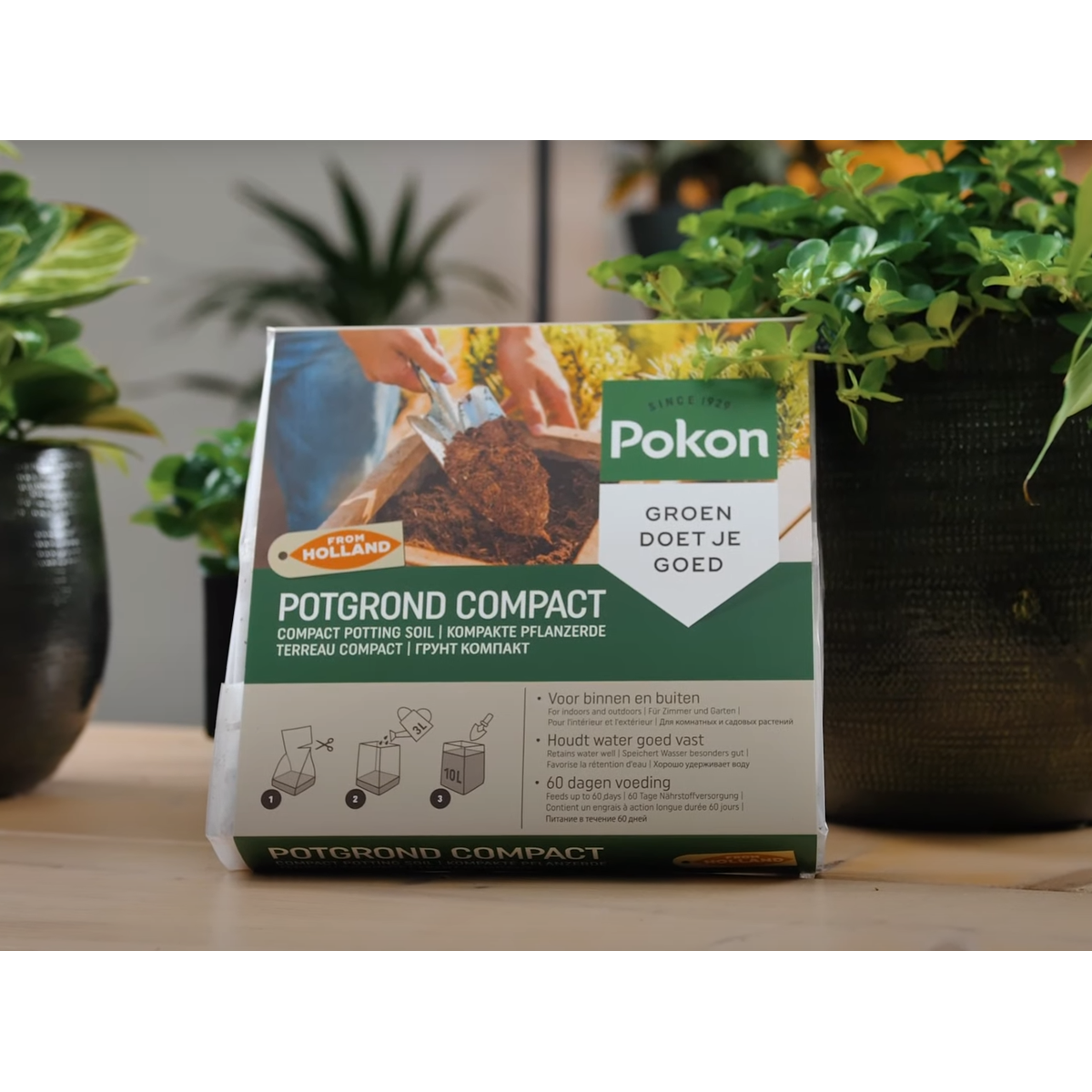 Potting Soil Pokon Krukjord Kompakt - Kokosjord - Inomhus Och Utomhus - 10 Liter