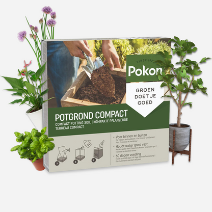 Potting Soil Pokon Krukjord Kompakt - Kokosjord - Inomhus Och Utomhus - 10 Liter