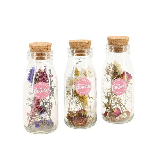 Florastore Torra Blommor Små - Blandning Av 3 - Torkade Blommor - ⌀5Cm - Höjd 10 Cm