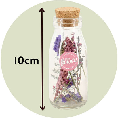 Dried Flowers Torra Blommor Små - Blandning Av 3 - Torkade Blommor - ⌀5Cm - Höjd 10 Cm