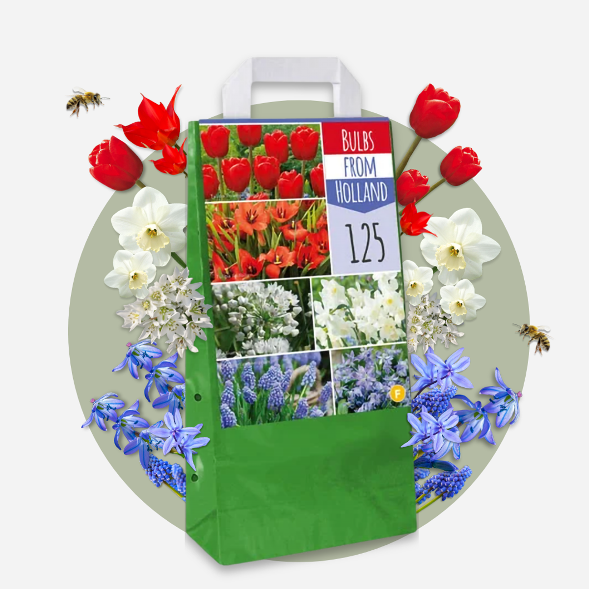 Bulb Mix Blomlökar Från Holland - Set Om 250 - Tulipa Narcissus Scilla Allium Muscari