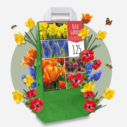 Bulb Mix Blomlökpaket - Set Om 250 - Tulipa, Anem. Narcis. Allium, Muscari - Blomlökar