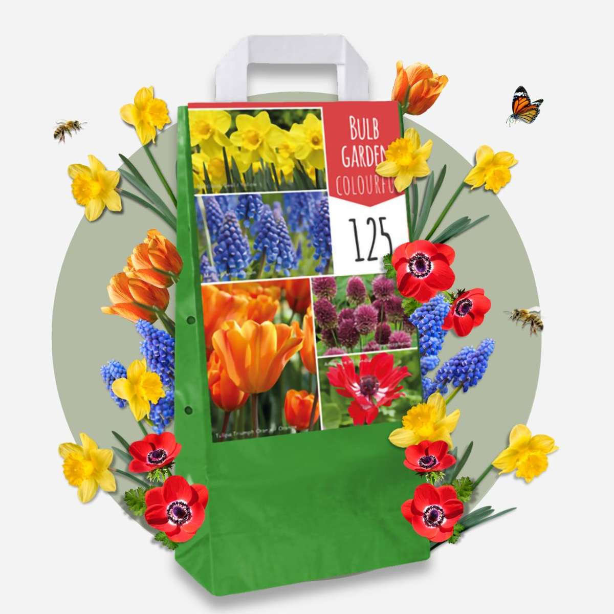 Bulb Mix Blomlökpaket - Set Om 125 - Tulipa, Anem. Narcis. Allium, Muscari - Blomlökar