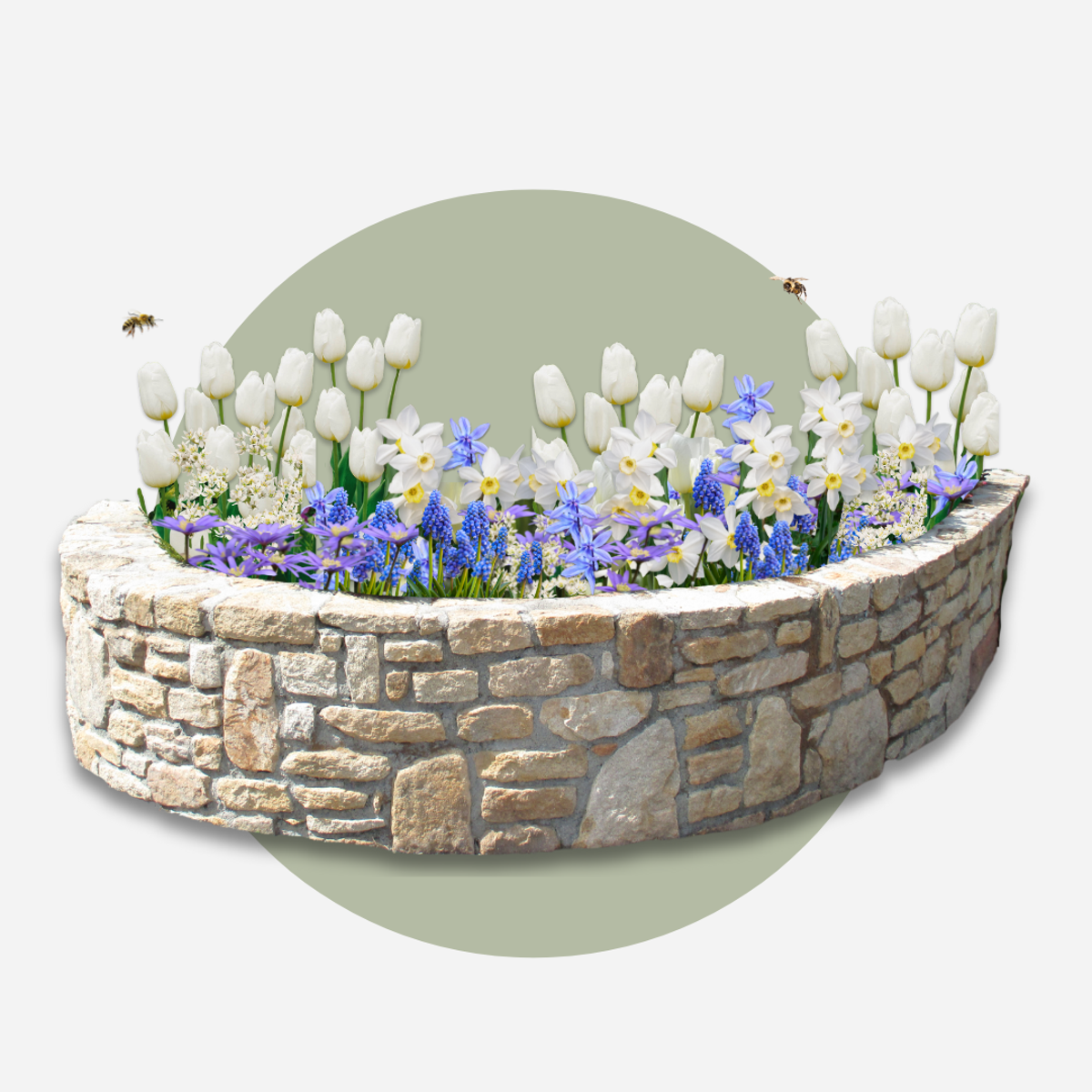 Bulb Mix Blomlökpaket - Set Om 125 - Allium, Narcissus, Tulipa Och Mer - Blomlökar - Blå