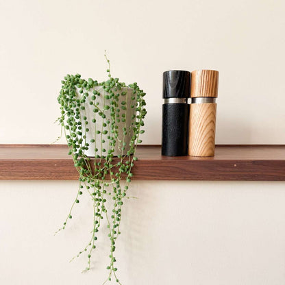 Hanging Plants Pärlsnöre - Senecio Rowleyanus - Höjd 10-20Cm - ⌀12Cm