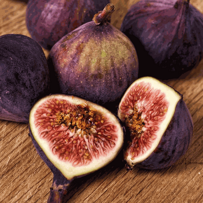 Fruit Trees Fikon - Set Om 2 - Ficus Carica - Höjd 70-90Cm - ⌀21Cm