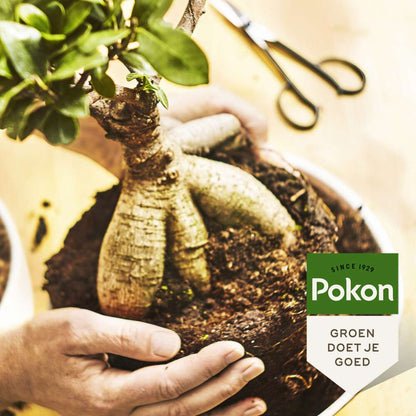 Plant Food Pokon Flytande Växtmat - Bonsai - 250Ml