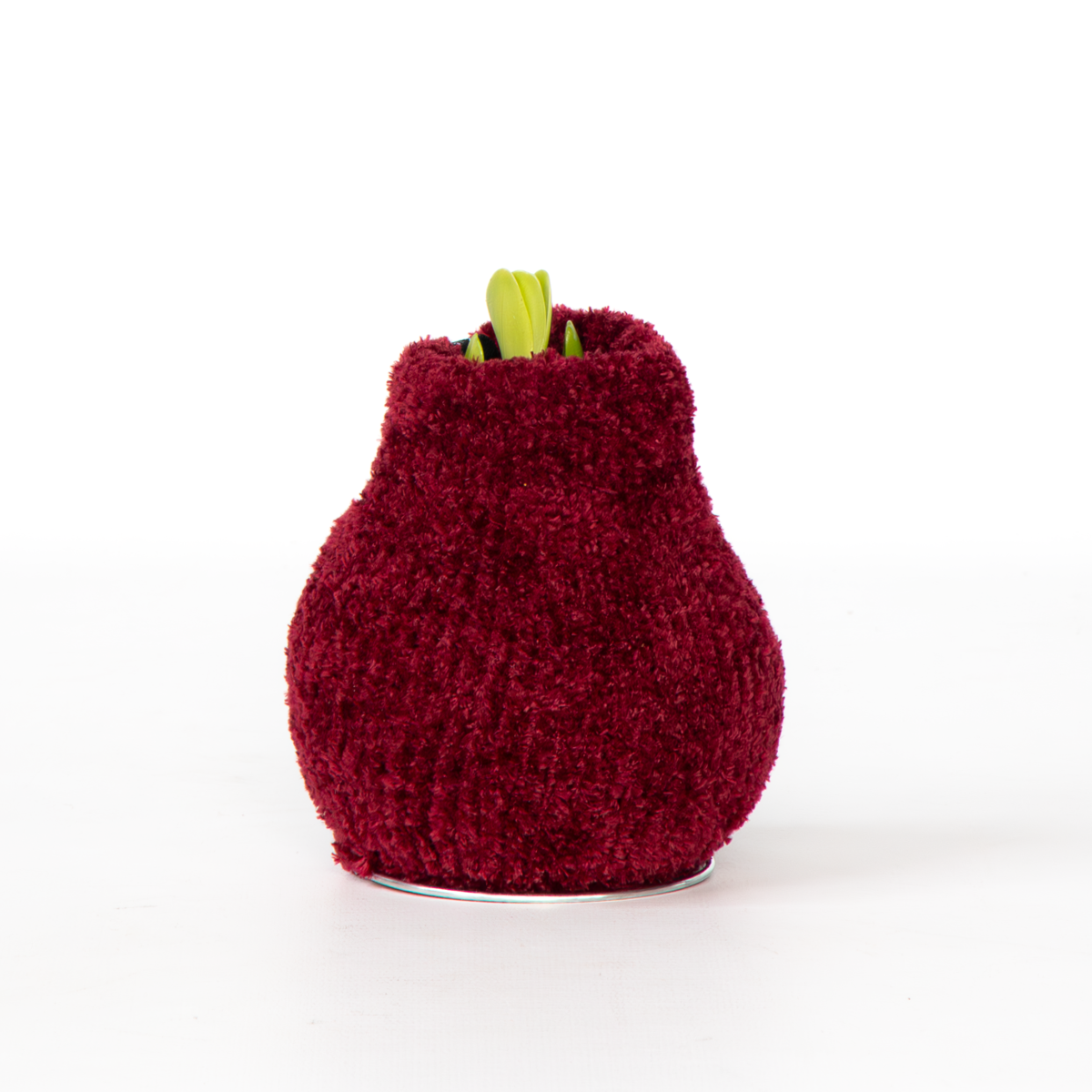 Amaryllis - Hippeastrum 'Cozy Teddy Red' - Lök - Röda Blommor