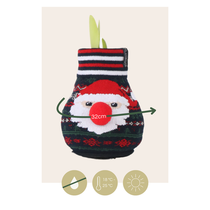Amaryllis - Set Om 3 - Hippeastrum 'Xmas Sweater Mix' - Sphere