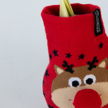 Amaryllis - Set Om 3 - Hippeastrum 'Xmas Sweater Mix' - Sphere