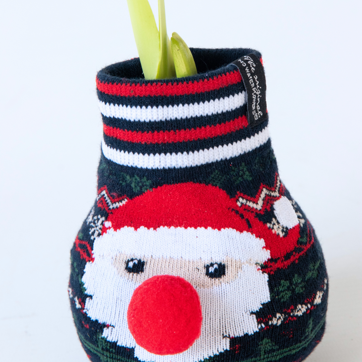 Amaryllis - Set Om 3 - Hippeastrum 'Xmas Sweater Mix' - Sphere