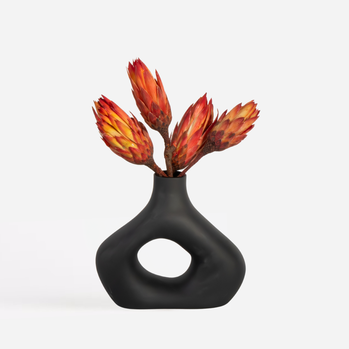 Florastore Torkade Blommor - Sæt Om 5 - Bukett 'Protea Pendula Red' - Torrblommor