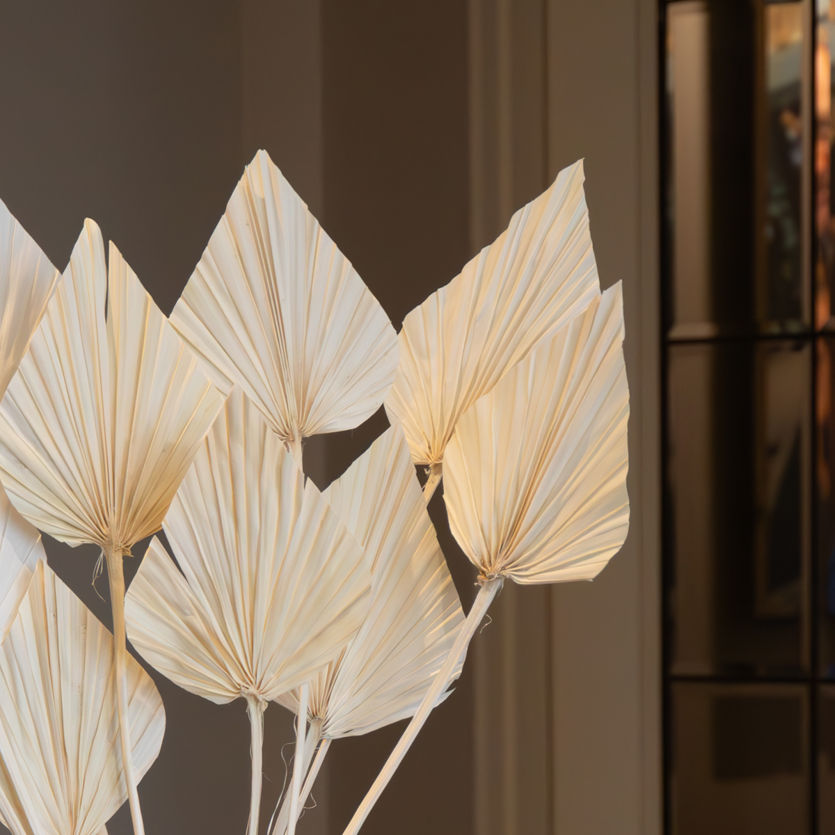 Dried Flowers Torkade Blommor - Sæt Om 10 - Bukett 'Palmspear Bleached White'