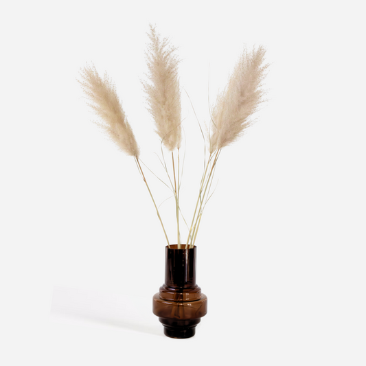 Florastore Torkade Blommor - Sæt Om 5 - Dryflower 'Cortaderia Plum' - Torrblommor