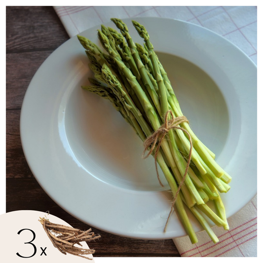 Florastore Grön Sparris - Set Om 3 - Asparagus 'Gijnlim' - Rhizomer - Grön