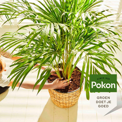 Plant Food Pokon Flytande Växtmat - Palmer - 250Ml