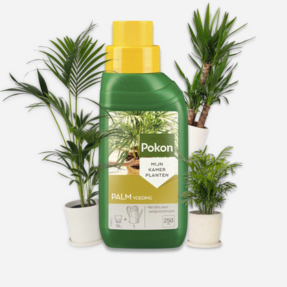 Plant Food Pokon Flytande Växtmat - Palmer - 250Ml