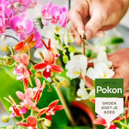 Plant Food Pokon Flytande Växtmat - Orkidéer - 250Ml