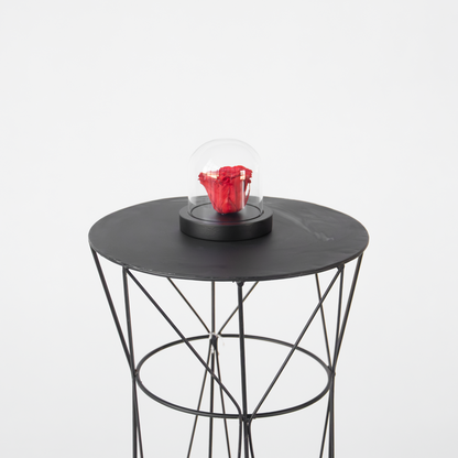 Dried Flowers Konserverad Röd Ros Under Glaskupa - Äkta Ros - Lyxig Gåva