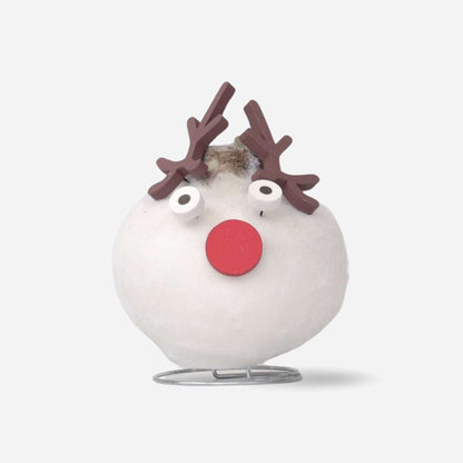 Amaryllis - Hippeastrum 'Vax Special Ren'