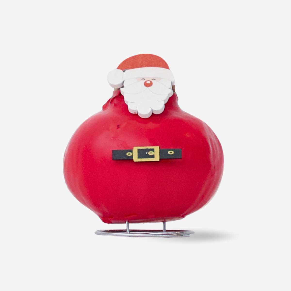 Amaryllis - Hippeastrum 'Vax Special Tomte'