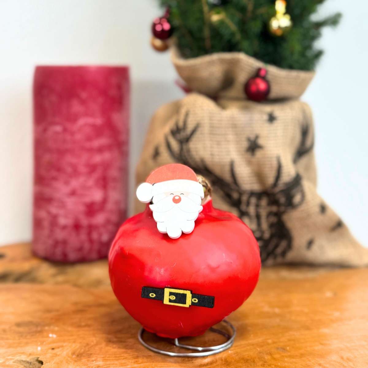 Amaryllis - Hippeastrum 'Vax Special Tomte'