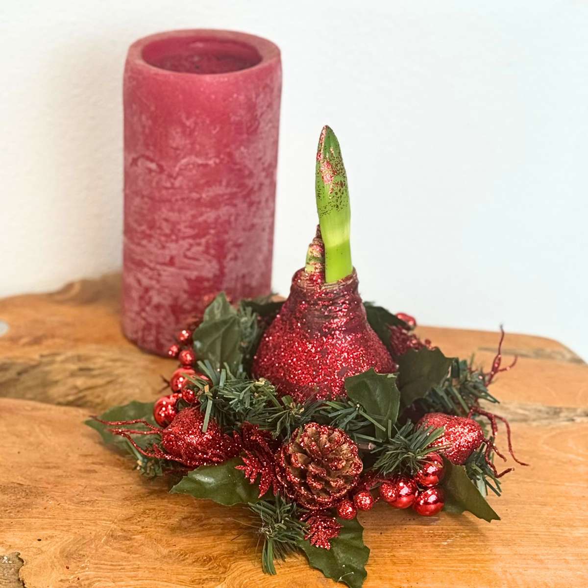 Amaryllis - Hippeastrum 'Julkrans' - Röd