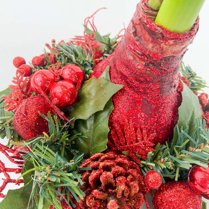 Amaryllis - Hippeastrum 'Julkrans Mix'