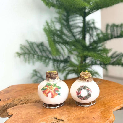 Amaryllis - Set Med 2 - Hippeastrum 'Porslinsvax Mix'