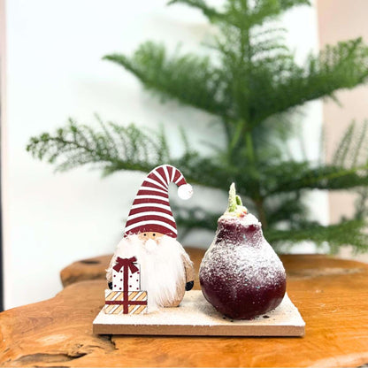 Amaryllis - Set Med 3 - Hippeastrum 'Vinterunderland Mix'