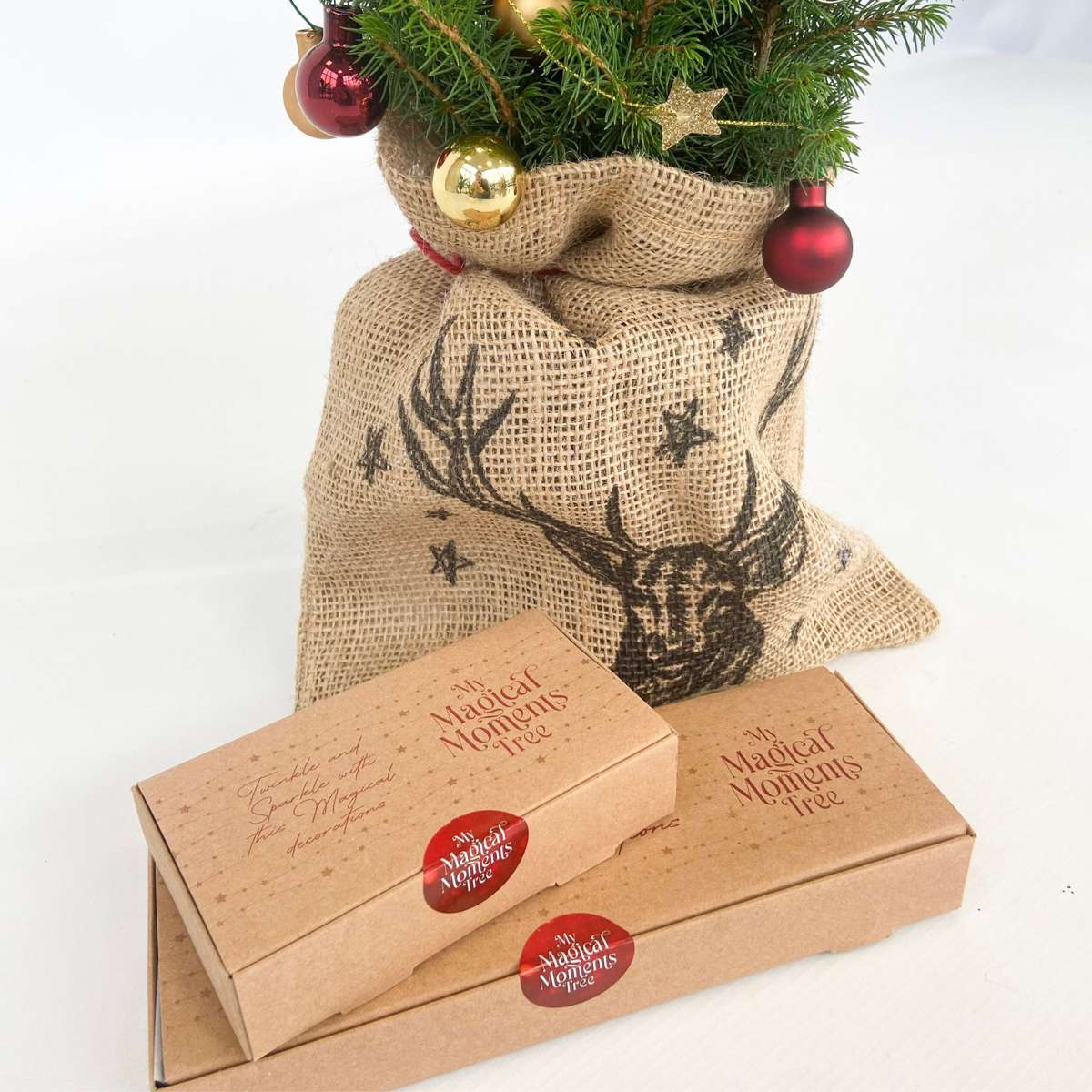 Other Green Houseplants Mini-Julgran Med Jute-Säck – Picea Glauca Conica – 55–65Cm – ⌀15Cm