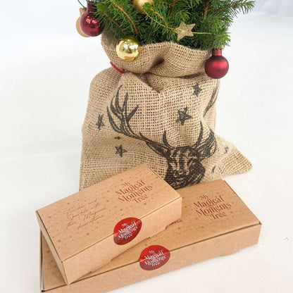 Other Green Houseplants Mini-Julgran Med Jute-Säck – Picea Glauca Conica – 55–65Cm – ⌀15Cm